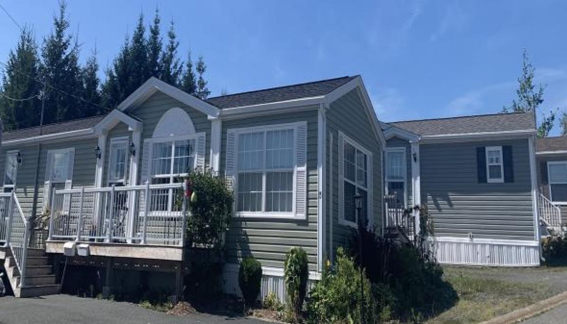 Shamrock Acres killam